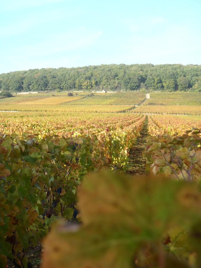 La Maison Du Gue Ecutigny ภายนอก รูปภาพ
